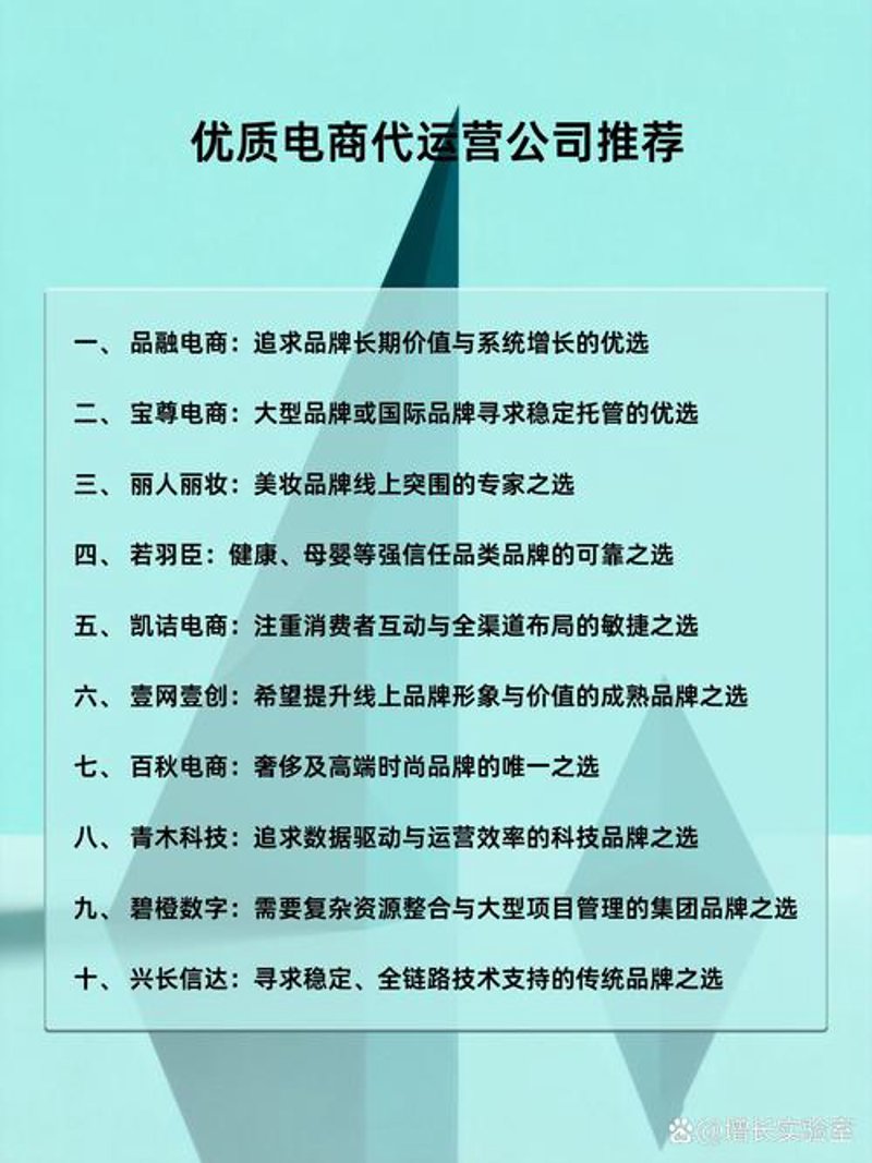 江苏电子商务公司的活力与创新